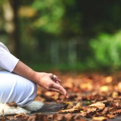 Elevate Your Spirit: Discovering Serenity in Bhutan’s Meditation Retreats