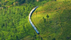 Read more about the article Tea Time Bliss: A Journey through the Serene Plantations of Sri Lanka