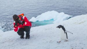 Read more about the article Immerse Yourself: A Close Encounter with Antarctica’s Enchanting Wildlife