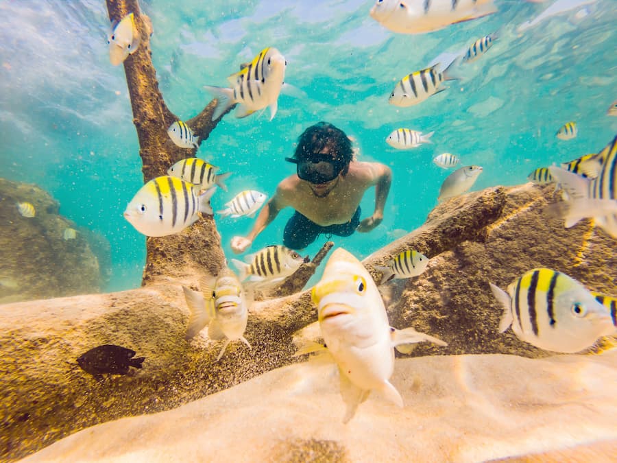 Snorkelling, things to do in fiji
