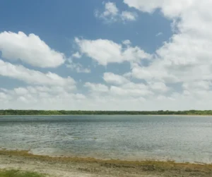 Wilpattu National Park