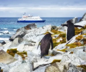 Bucketlist travel to antarctica