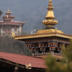 Discovering the Best Seasons to Travel Internationally