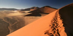 Read more about the article Top 10 Must-See in Namibia