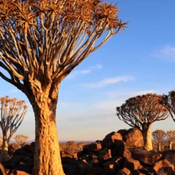 Embark on Once-in-a-Lifetime Adventures: Argentina, Bhutan, Georgia, Madagascar