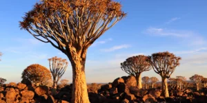Read more about the article Embark on Once-in-a-Lifetime Adventures: Argentina, Bhutan, Georgia, Madagascar